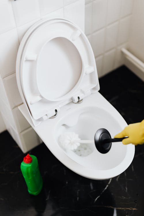 Desentupidora de Vaso Sanitário em Anápolis